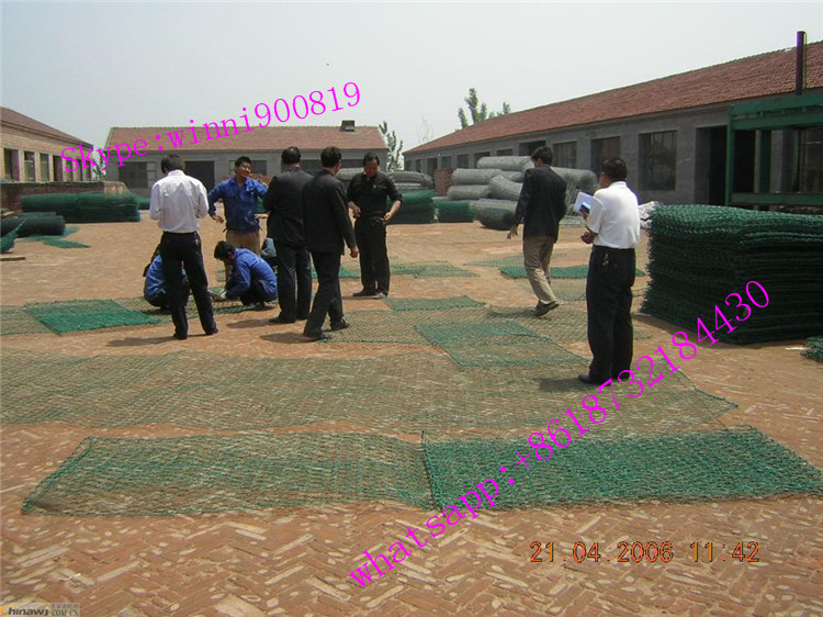 Yaqi Factory Supply Hexagonal Wire Netting with Competitive Price