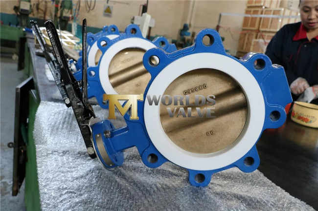 8 Inch Wcb C95400 Lever Operated Lug Butterfly Valve