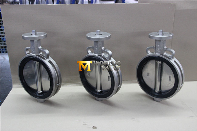 Bare Stem Stainless Steel Wafer Butterfly Valve with Polishing Disc (CBF02-TA01)