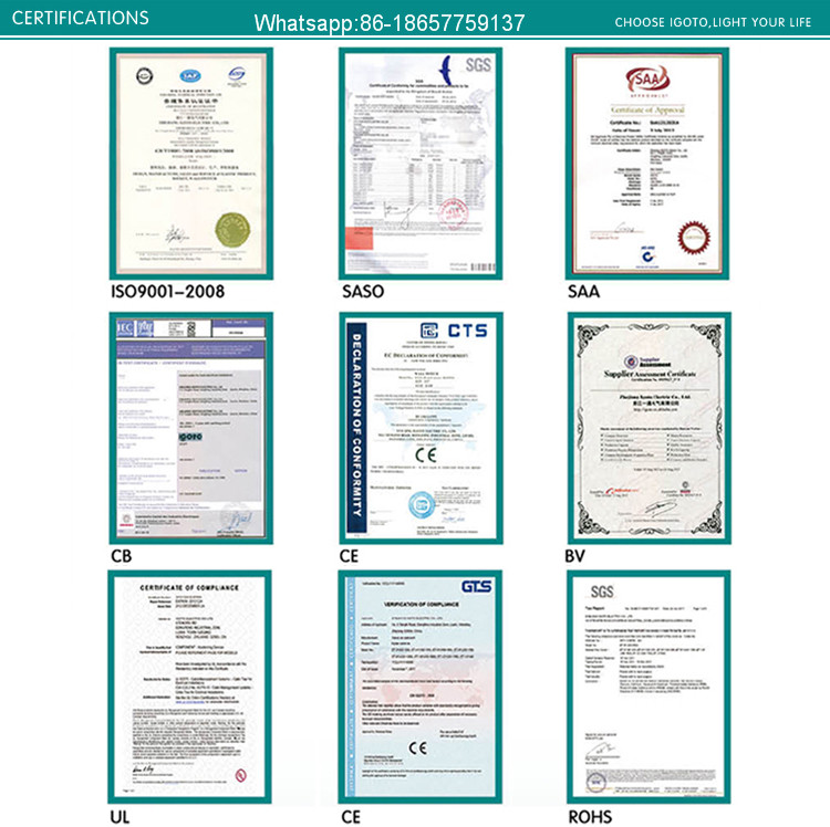 Popular SAA Certificate Australia Type Switch