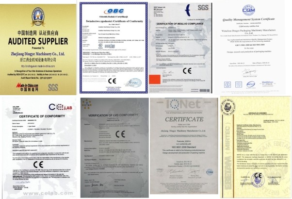 Electronic Quantitative Weigher (Dycs Series)