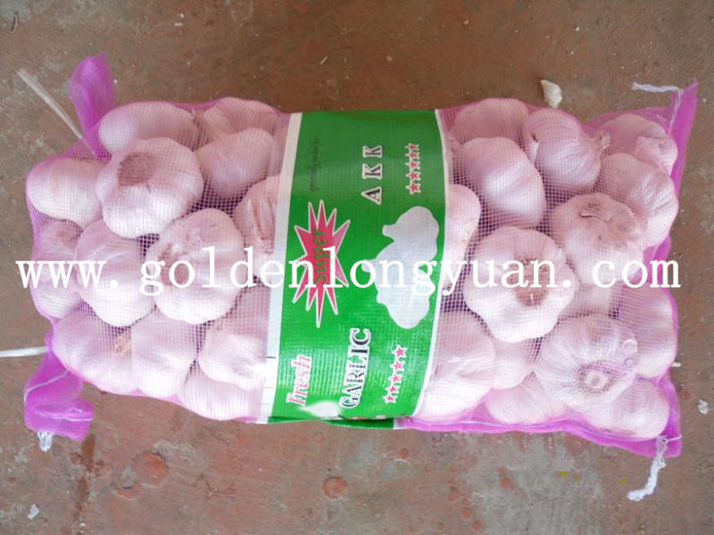 Fresh Jinxiang Garlic Good Quality