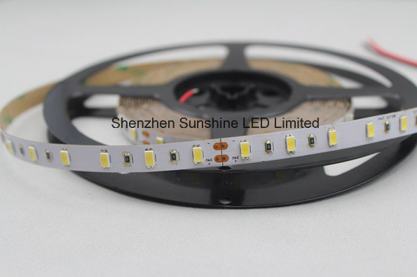 High Lumen SMD5630 600LEDs CRI80 DC24V Double Color LED Strip