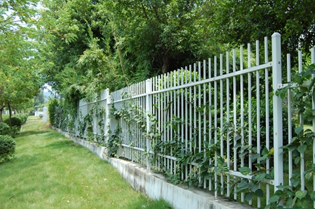 Anti-Corrosion Commercial Factory Fencing