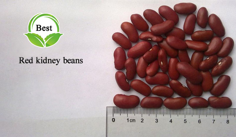 Dried Dark Red Kidney Beans