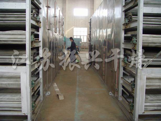 Dwt Series Dehydrated Vegetables Belt Dryer