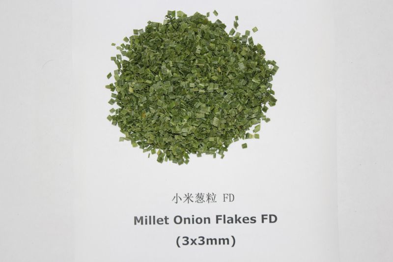 Dehydrated Onion Leek Flake with Green Color