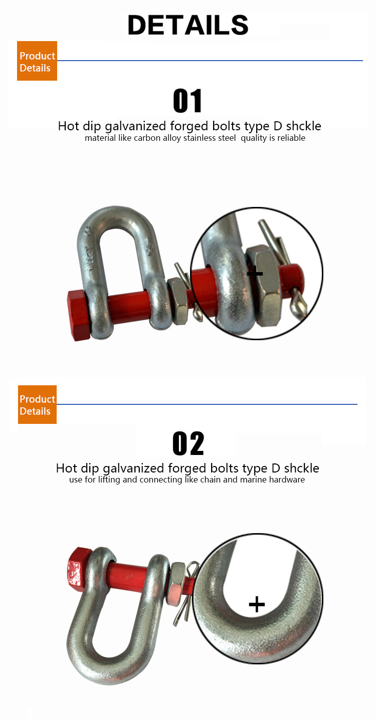 Us Type G2150 Bolts Type D Shackle