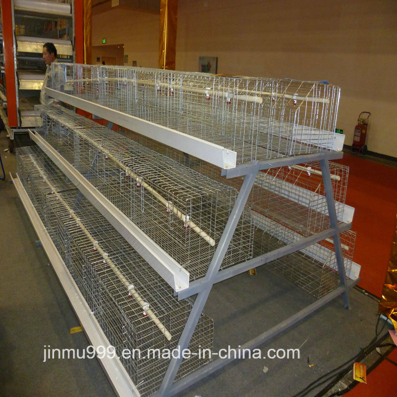 Layer Poultry Battery Cage Feeding Equipment for Chicken House