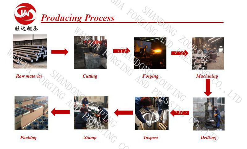 ASTM A105 Forging Carbon Steel Flange