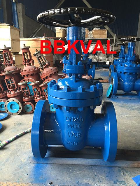 DIN Pn100 Gate Valve