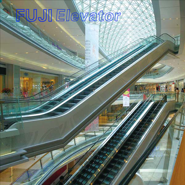 FUJI Escalator Supplier--Smooth Start&Low Niose