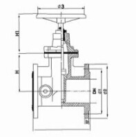 Globe Valve