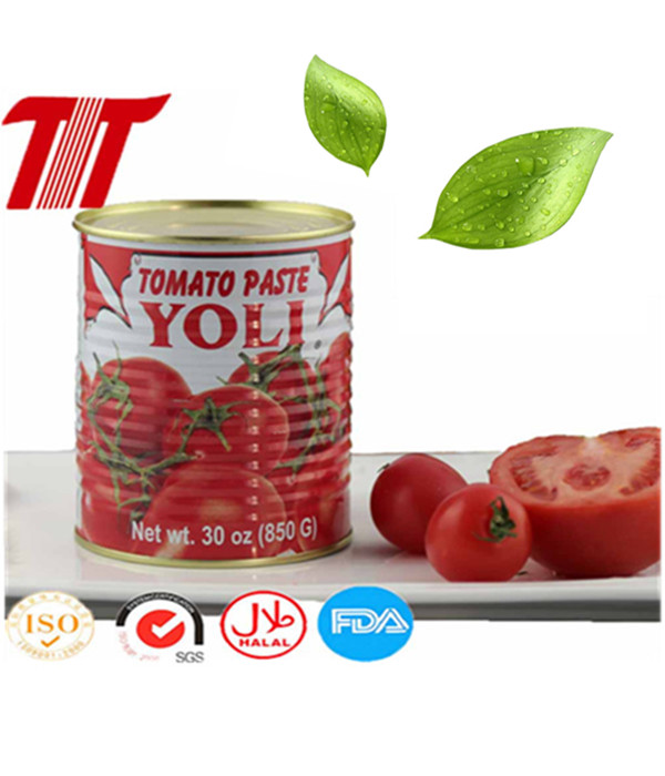 Organic Healthy Canned Tomato Paste with Yoli Brand