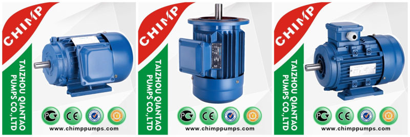 Y2 Series Asynchronous Induction 3 Phase Fan Motor with Flange