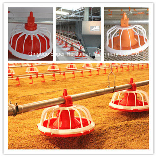 Automatic Poultry Equipment for Broiler Chicken Production