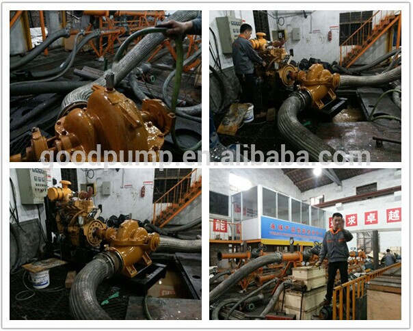 S/Sh Series Double Suction Centrifugal Water Pump for Irrigation Firefighting Use