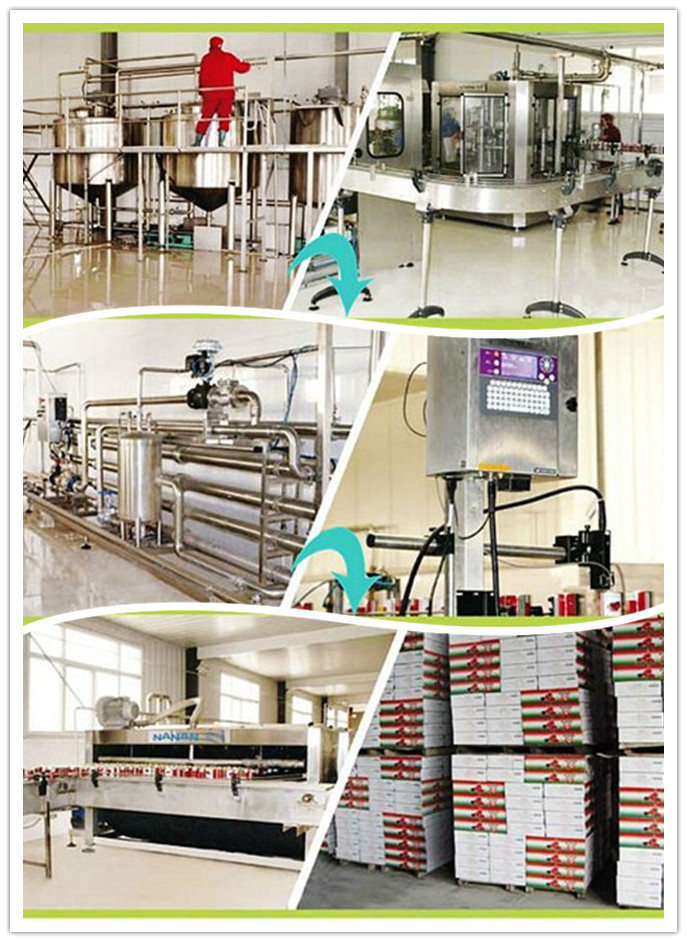 Sachet Tomato Paste Tmt, Vego, Fine Tom Brand Tomato Processing