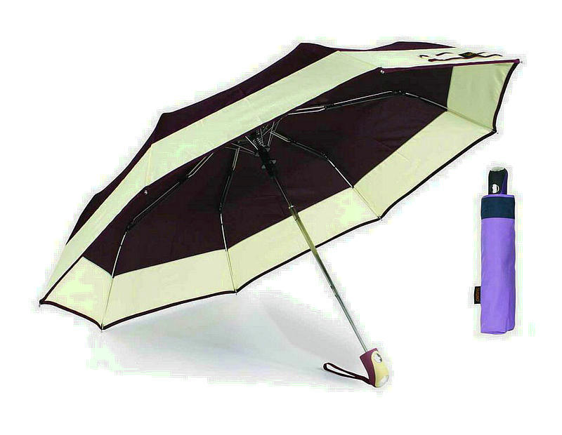 Border&Edge Compact Automatic Windproof Umbrella (YS-3FA22083960R)