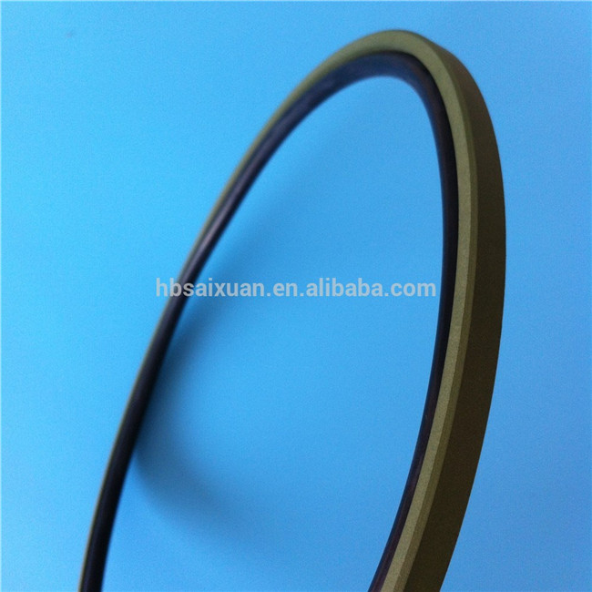 Spgw Packing Seal PTFE Material Piston Teflon Seal