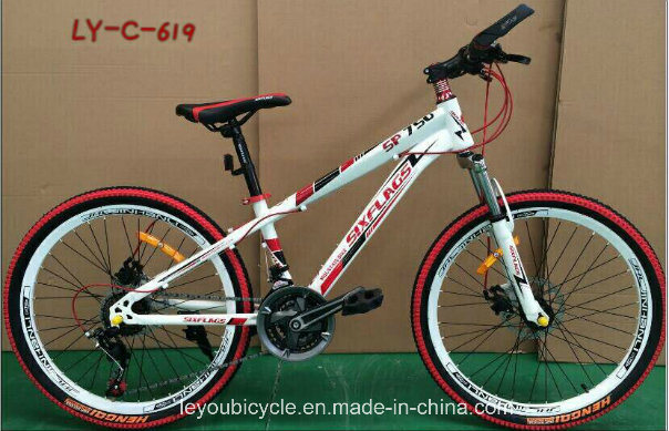 Fashion Cool Fat Bicycle (LY-C-619) From China