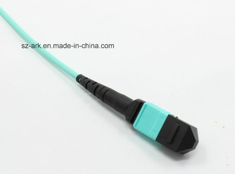 Optical Fiber Cable for MPO/PC/Male) Om1 12 Core