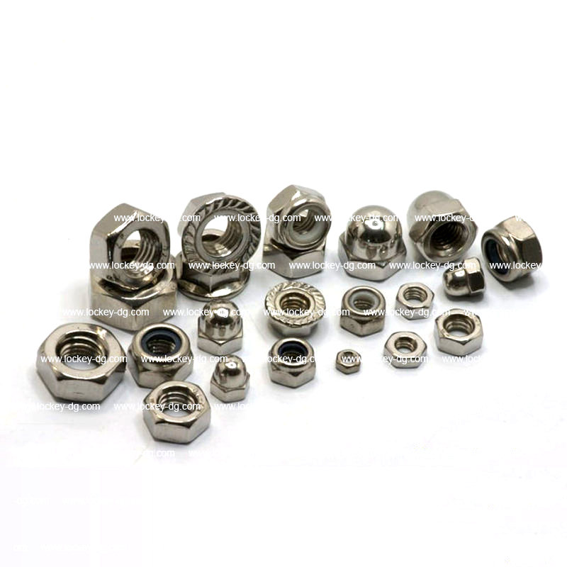 Passivated Stainless Steel Nut, Hex Nut, Flange Hut, Nylon Nut, Cap Nut, Wing Nut