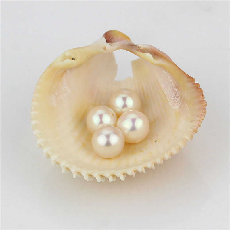 Snh White Natural Half-Drilled Wholesale Loose Pearls