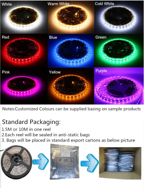 DC12V/24V CE Approved Flexible LED Strip Light LED Strip Lamp