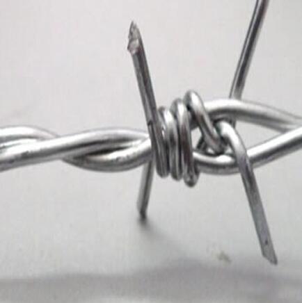 Galvanized Barbed Wire