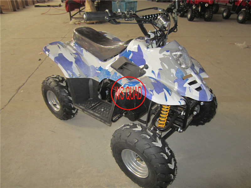 800W Electric ATV, 36V 17ah Battery with CE Approval Et-Eatv003 Electric Atvs