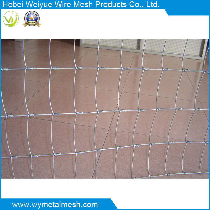 Galvanized Field Fence for Animal