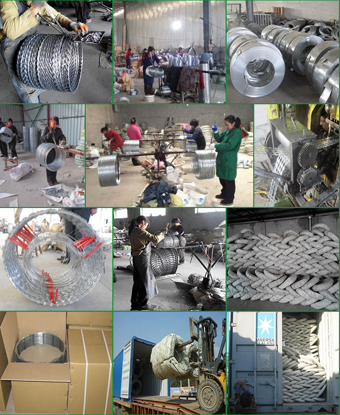 China Galvanized Concertina Razor Barbed Wire Mesh (RBWW)