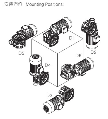 R Series Worm Gear Reducer