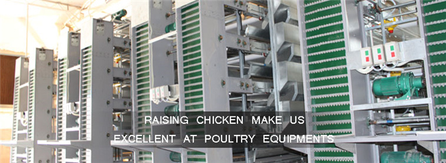 Automatic egg collecting machine for chicken egg poultry farm