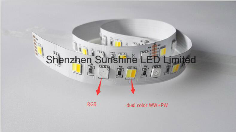 Waterproof IP68 5 Colors RGB and Dual Color Ww&Pw LED Strip