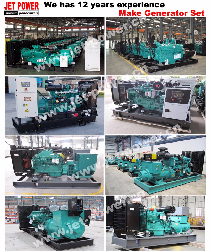 Yangdong Diesel Engine 380V 10kw Generator Diesel