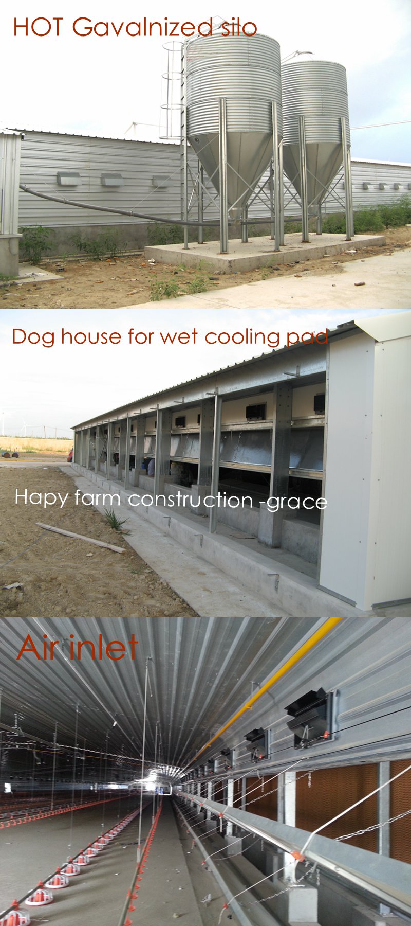 Steel Structure Chicken Farm House for modern Farm