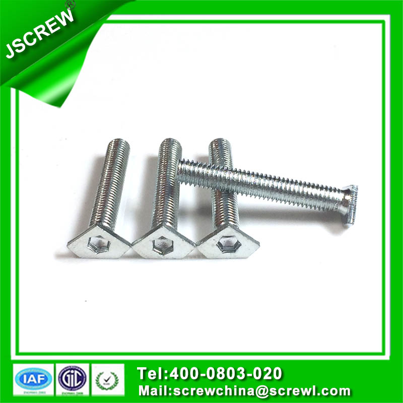 M5 Special Customer Head Stainless Steel Torx Screw