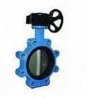 Ductile Rion Body/Ss Disc Lug Butterfly Valve