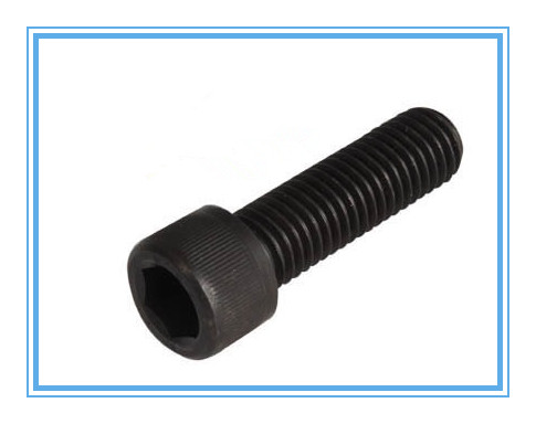 Hex Socket Head Cap Screw with Black (DIN912)