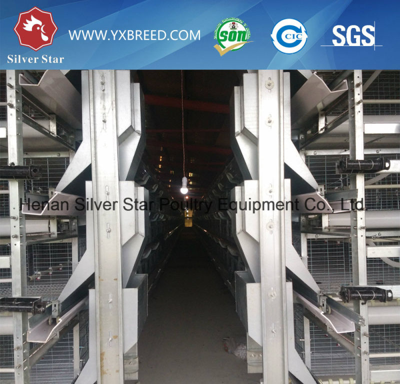 Steel Mesh Layer Cage