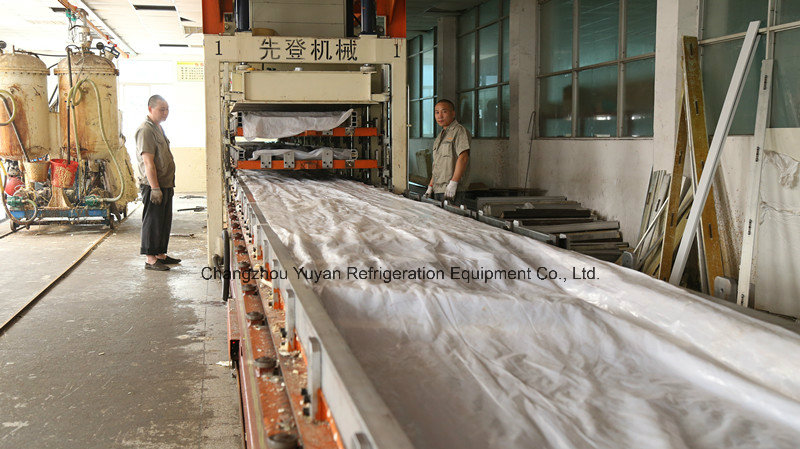 PU Sandwich Panel/Wall Panel for Cold Storage Room