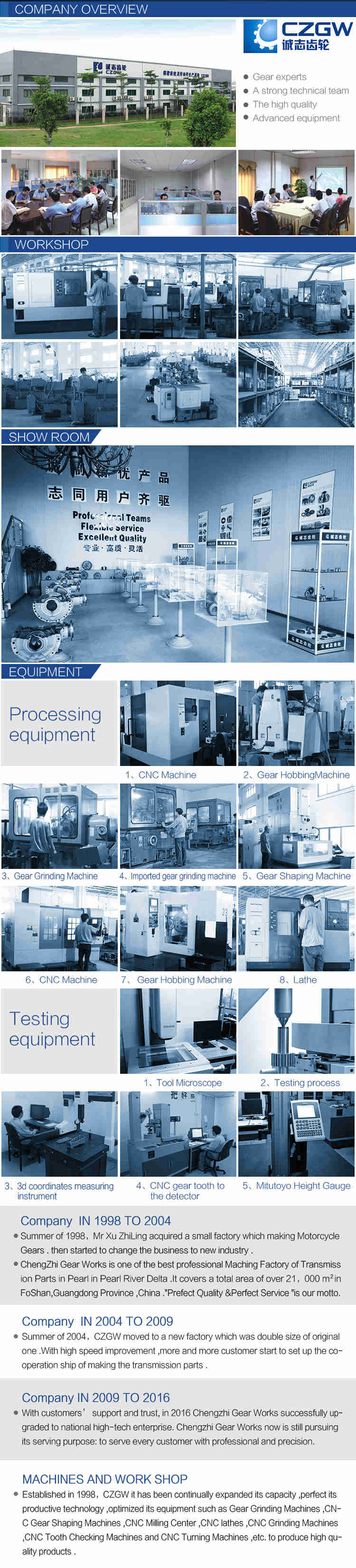 High Precision Customized Transmission Gear Worm Gear for Various Machinery