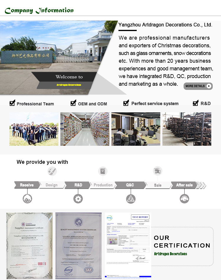 company information 