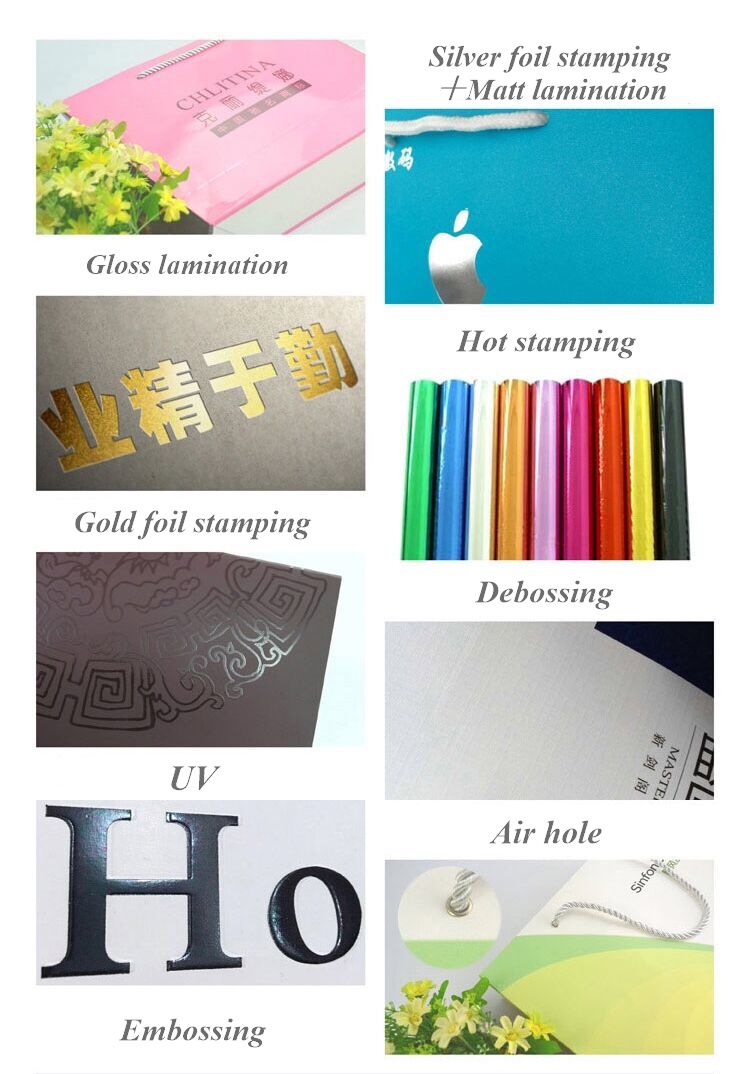 Cheap Wholesale Paper Bag Gift Paper Bag Printing