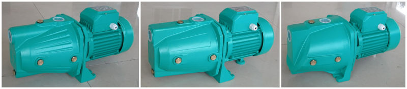 1 HP Self-Priming Jet Water Pump for Garden Water Supply