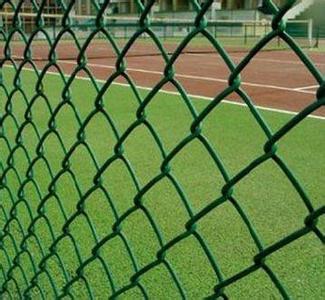 PVC Coated Diamond Wire Mesh/Fence Green Color Chain Link Fence