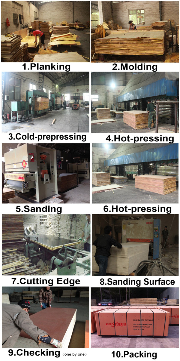 Two Times Press Poplar Eucalyptus Hardwood Core Plywood From Shandong