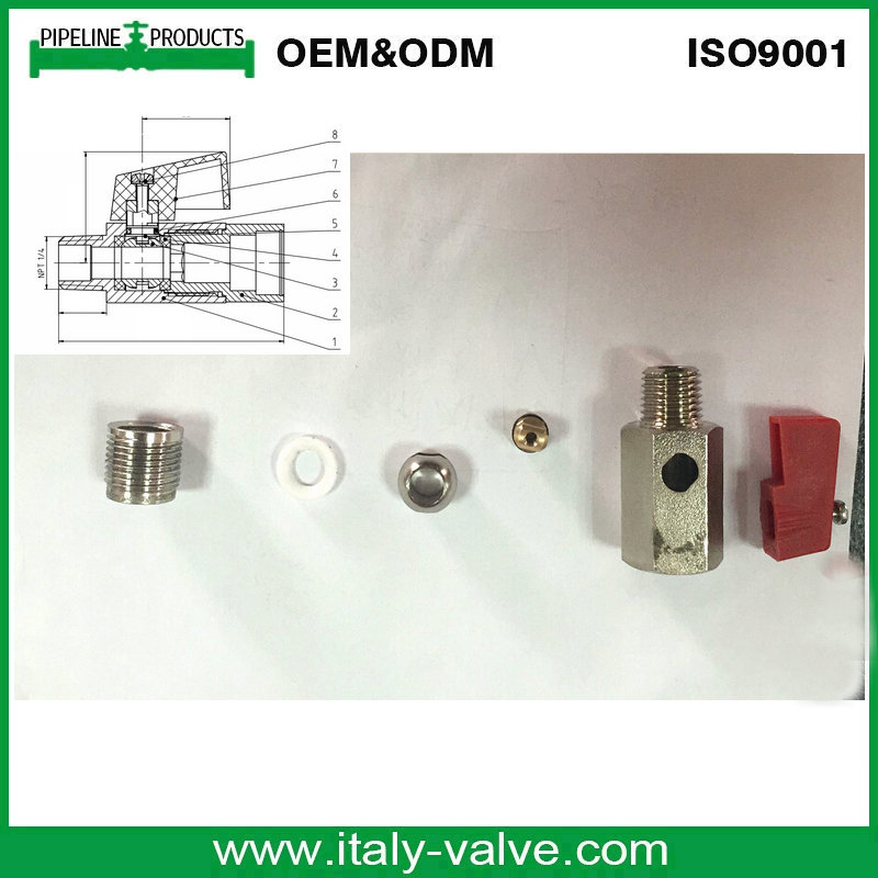 Chromed Brass Forged Male Mini Ball Valve (AV-MI-20011)